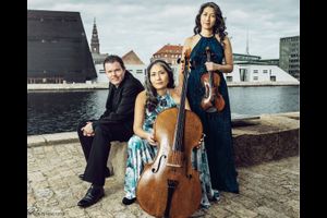 Festival vielsaitig: Trio con Brio Copenhagen